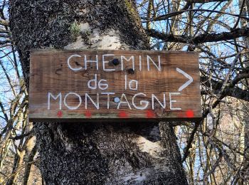 Trail Walking Cazenave-Serres-et-Allens - cabane du pla de Tabe en boucle  - Photo