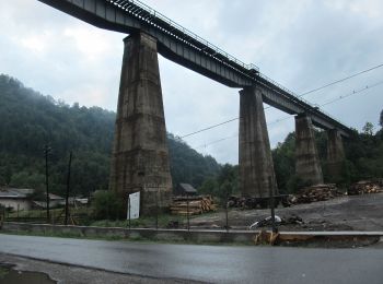 Tour Zu Fuß  - Romuli - Zăvoaiele Borcutului - Șaua Bătrânei - Photo