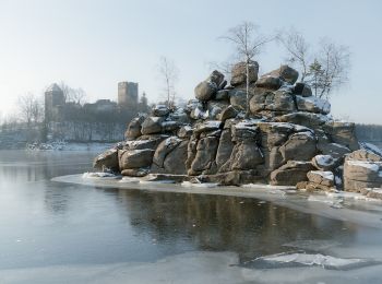 Percorso A piedi Gemeinde Rastenfeld - Seelaufrunde - Photo