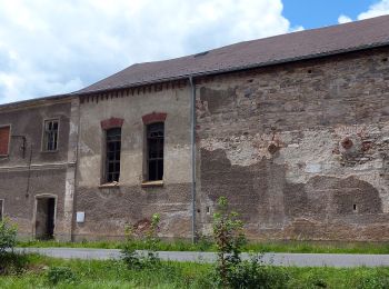 Randonnée A pied Horní Maršov - [Z] U Thamových bud - Nad Pražačkou - H. Maršov - Photo