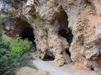 Randonnée Marche Aups - Aups - Grottes - Croix des Pins - Col de Besc - Photo