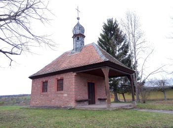 Randonnée A pied Kleinwallstadt - Kulturweg Weißer Leimen - Route Gelb - Photo