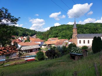 Randonnée Vélo de route Rohrbach-lès-Bitche - EXT40 Rohrbach les Bitche-09 - Photo