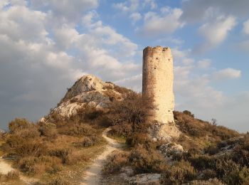 Percorso Marcia Paradou - Le Paradou : les tours de Castillon - Photo