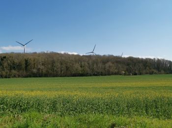 Randonnée Marche Petit-Caux - greny petit caux - Photo