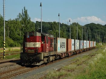 Tocht Te voet Ostrava - Hrabovský okruh - Photo