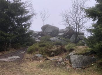 Tour Zu Fuß Wernigerode - HK 9: Clausthal - Sonnenberg - Brocken - Ilsenburg - Photo