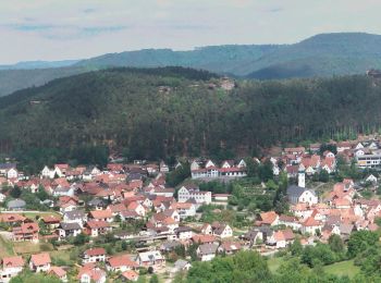 Randonnée A pied Bruchweiler-Bärenbach - Bären-Steig - Photo