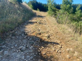 Tour Mountainbike Mont Lozère et Goulet - Fait GTMC 2022 E3  3b - Photo