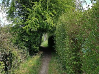 Percorso Mountainbike Yvoir - GODINNE ... Petite & Grande Hulle / Jardins d'Annevoie. - Photo