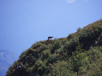 Tocht Te voet Introbio - Sentiero 27 della Foppabona - Photo