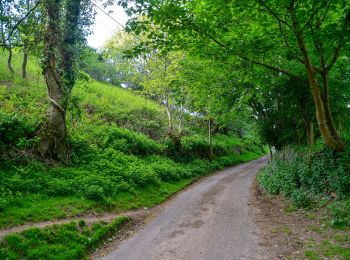 Trail On foot North Devon - Butterfly Walk - Photo