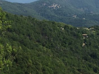 Randonnée Marche Saint-Laurent-le-Minier - La grotte d’Anjeau  - Photo