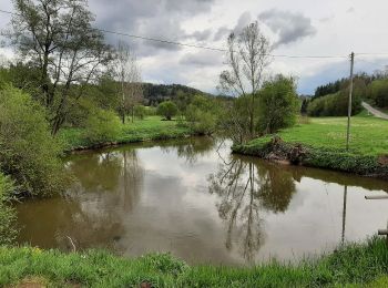 Tocht Te voet Gaildorf - Schwäbischer Albverein Gaildorf - Blauer Punkt - Photo