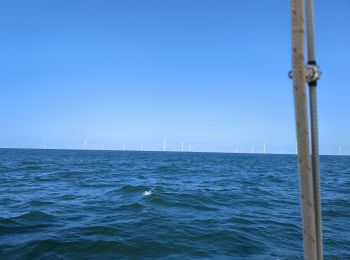 Trail Sailboat - Ile d'Yeu mouillage - Photo