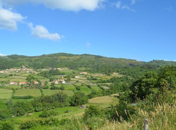 Tocht Te voet Bico e Cristelo - Trilho do Alto dos Morrões - Photo