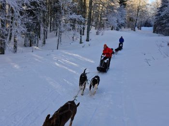 Randonnée Raquettes à neige Bouvante - 20240120fonturle2 - Photo