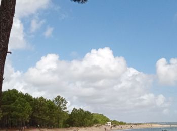 Tocht Stappen Saint-Trojan-les-Bains - le cri des arbres, Maubuisson Oleron - Photo