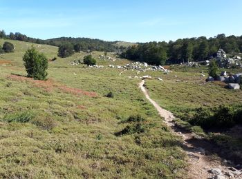 Randonnée Marche Cozzano - GR20 Etape 13 Usciolu Bergerie d'Asinau - Photo