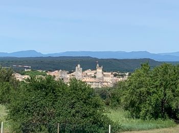 Tour Wandern Saint-Maximin - Saint Maximin, boucle  par Saint Siffret - Photo