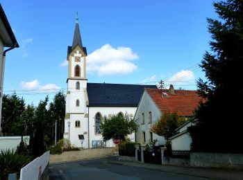 Trail On foot Feilbingert - VITALtour Geheimnisvoller Lemberg - Photo