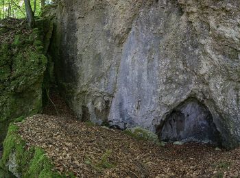 Tour Zu Fuß Alfeld - Rundweg um die Kirchthalmühle - Photo