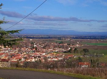 Randonnée Marche Ménétrol - Le Chalard - Photo