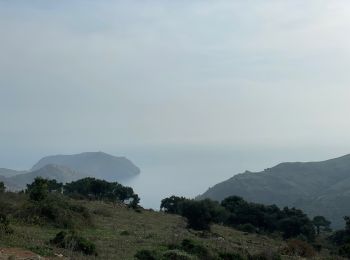 Trail Walking Roses - Feixes i pedra sera - Photo