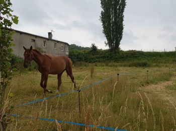 Tocht Stappen Ventes-Saint-Rémy - Forêt d'Eawy rando douce - Photo