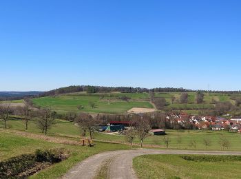 Percorso A piedi Ebelsbach - Heilig-Länder-Runde - Photo