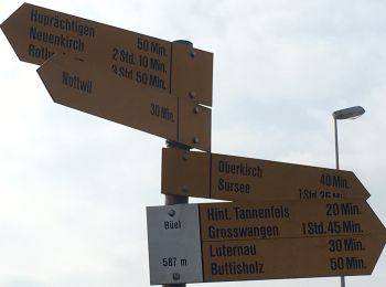 Trail On foot Nottwil - Buttisholz-Luternau-Bühl - Photo