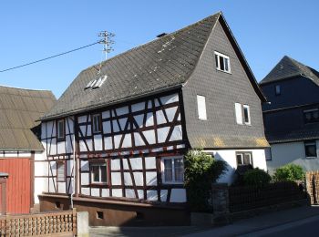 Percorso A piedi Rüdesheim am Rhein - Rehkopf - Photo