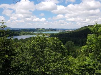 Randonnée Marche Clairvaux-les-Lacs - Clairvaux les Lacs 20190616 - Photo