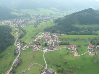 Excursión A pie Simonswald - Schwarzwald Mühlen Rundwanderweg - Photo