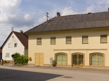 Percorso A piedi Alkoven - Innbachrunde - Photo