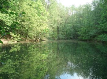 Randonnée A pied Mespelbrunn - Ortswanderweg Mespelbrunn 1 - Photo