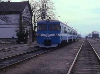 Tour Zu Fuß  - Omladinska staza: Velika - Kaniška glava - Photo