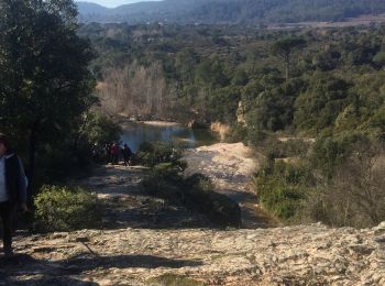 Excursión Senderismo Le Muy - Bagnol - Photo