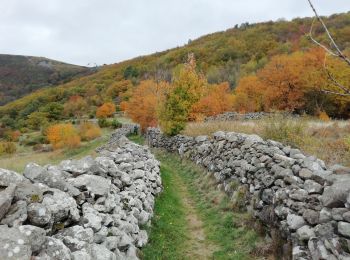 Excursión Senderismo Saint-Étienne-de-Serre - St Etienne de Serre 15km - Photo