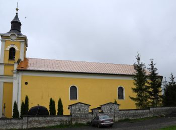 Tour Zu Fuß Trautsondorf - K■ (Cifra-kút - Hercegkút) - Photo