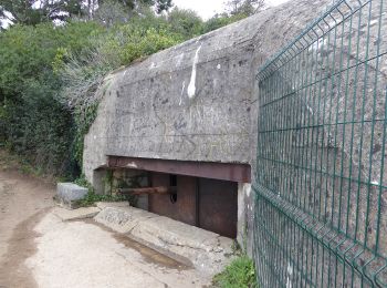 Tour Zu Fuß Cancale - La Pointe du Grouin - Photo