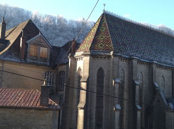 Randonnée Marche Poligny - Croix du Dan - Photo