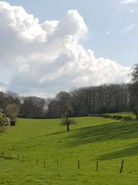 Trail Walking Jalhay - La boucle du dragon et du lion - Photo