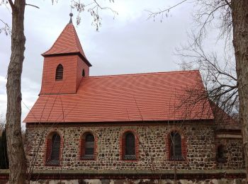 Percorso A piedi Rabenstein/Fläming - Naturparkrundwanderweg 40 - Photo