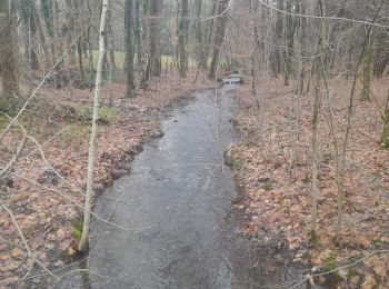 Tocht Stappen Bertrix - rando 10 km à Biourge. - Photo