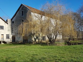 Tour Wandern Corgnac-sur-l'Isle - Boucle de Puyfebert à Corgnac sur L'isle (24) - Photo