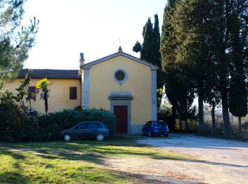 Trail On foot San Gimignano - Dolce campagna, antiche mura 20 - Photo