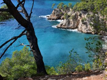 Trail Walking Saint-Cyr-sur-Mer - Port de la Madrague - Pointes Fauconnière, des 3 Fours, du Défends, des Termes et des Engraviers - Bandol - Photo