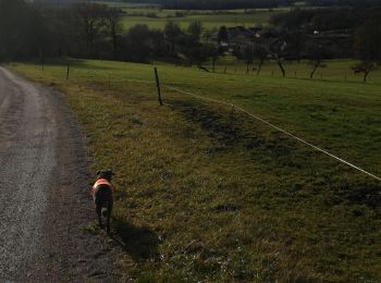 Tocht Paardrijden Saint-Martin - montée des vaches domevre verdenal la vache morte kaline vispa  - Photo