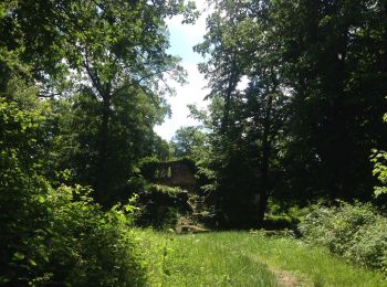 Excursión A pie Eberbach - Rundwanderweg 3: Burg-Eberbach-Weg - Photo